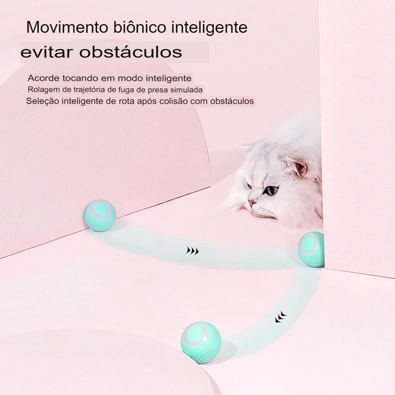 Bola Inteligente para Gatos